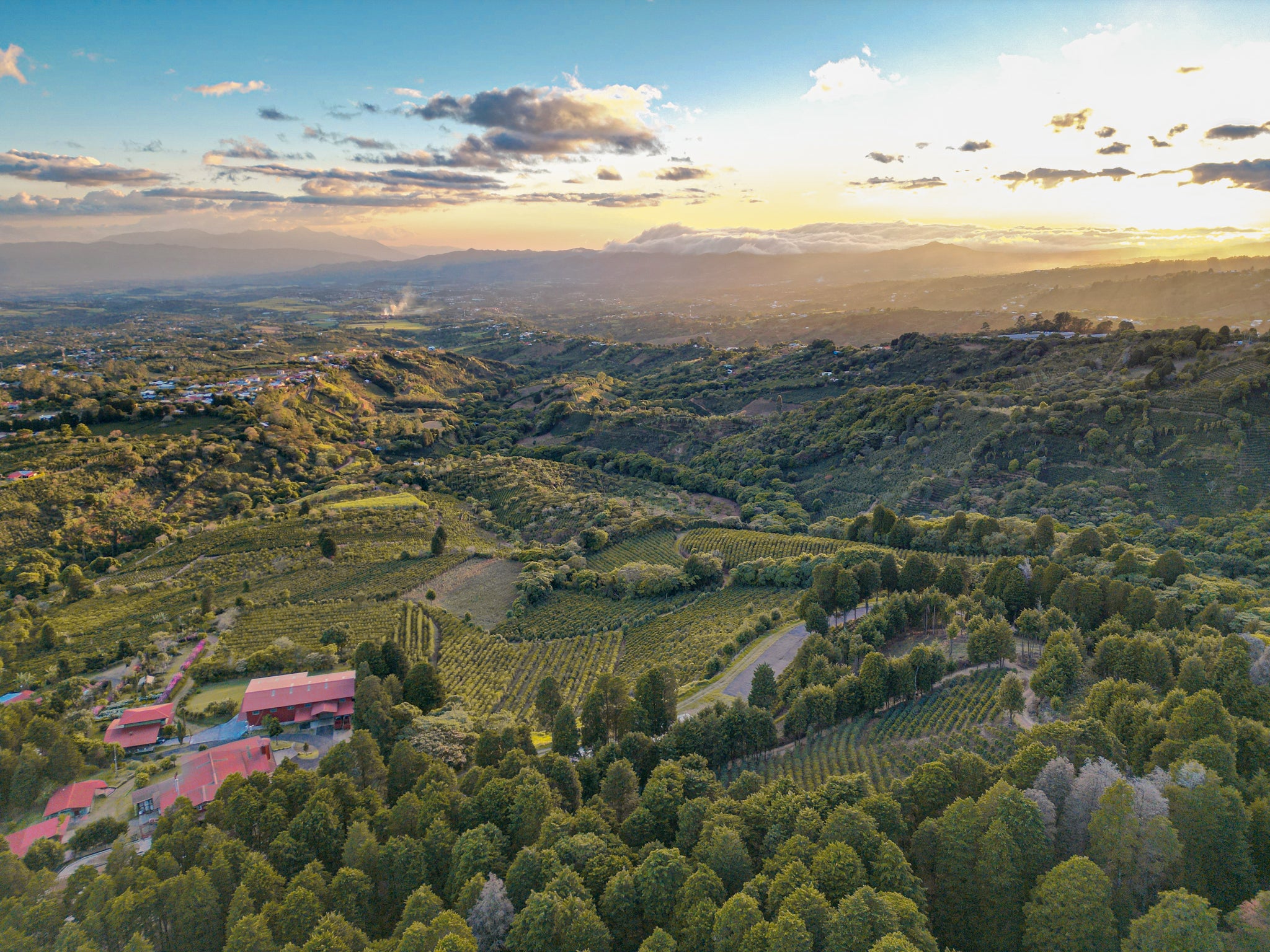 COSTA RICA VOLCANCITO ALEJO CASTRO 250G