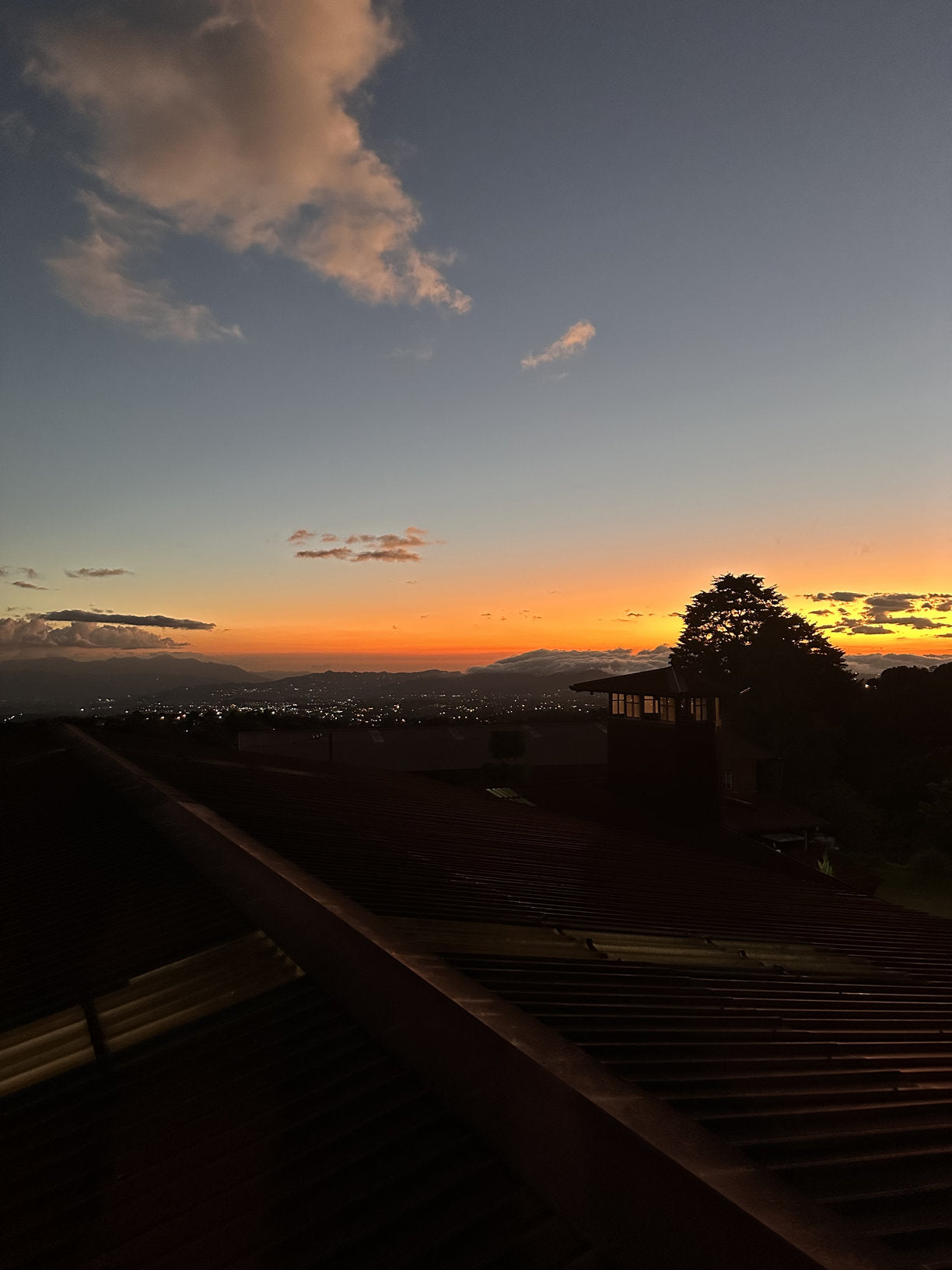 COSTA RICA LA ABEJA 250G