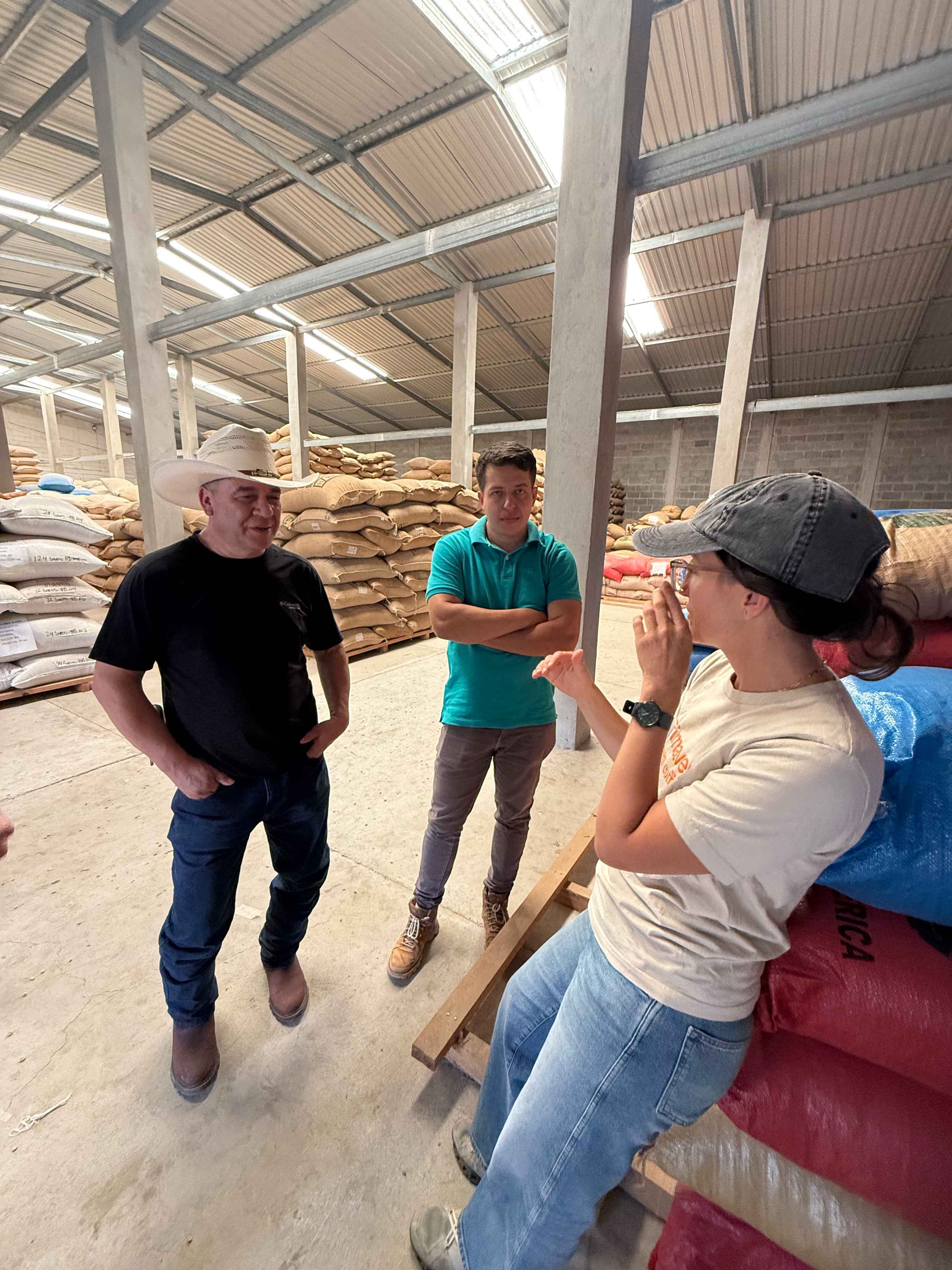 GUATEMALA LA COLINA YELLOW BOURBON 250G