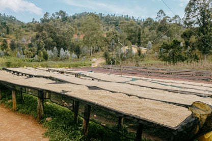 RWANDA KARAMBI MOUNTAIN 250G