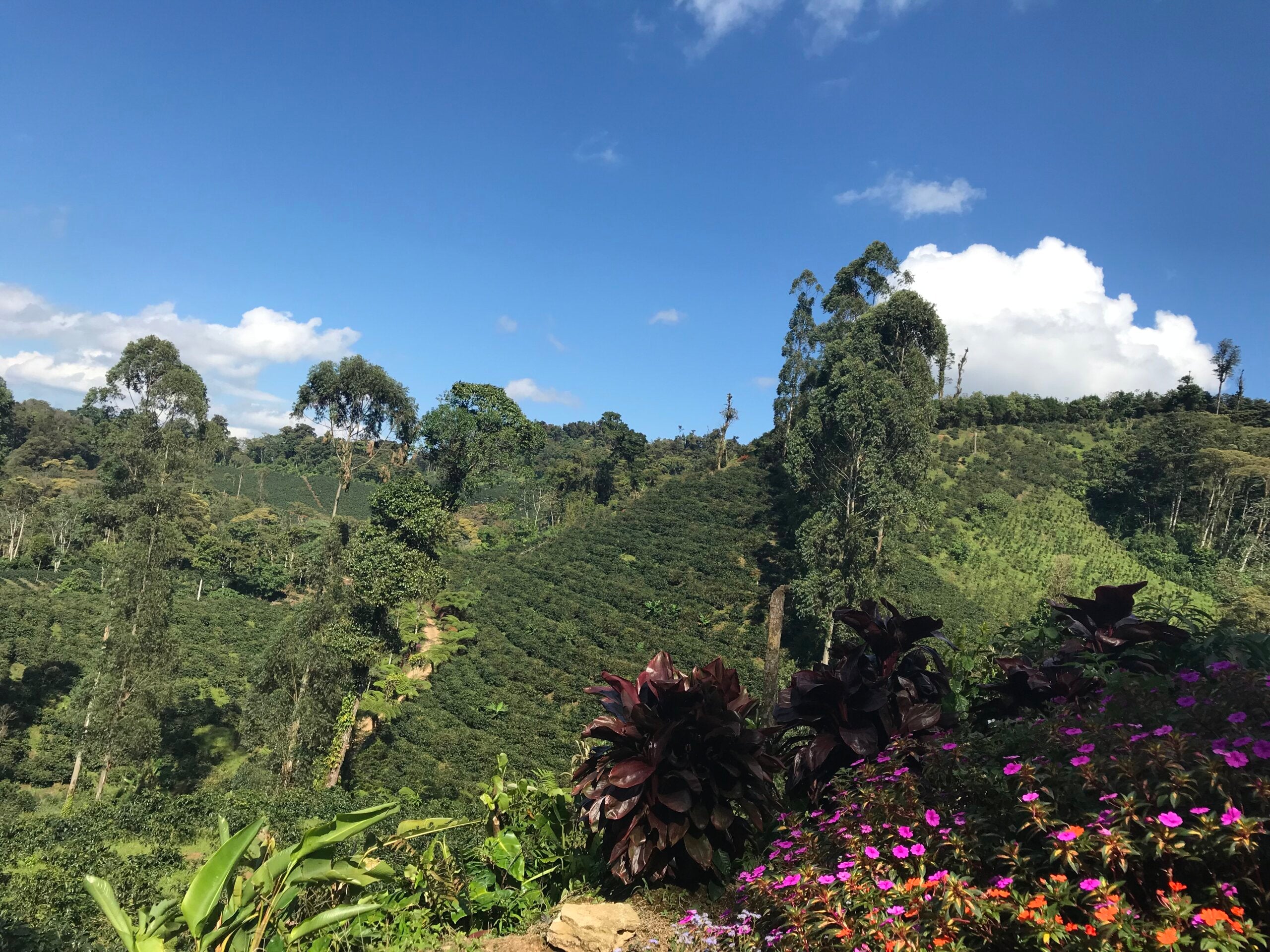 NICARAGUA MAMA MINA 250G