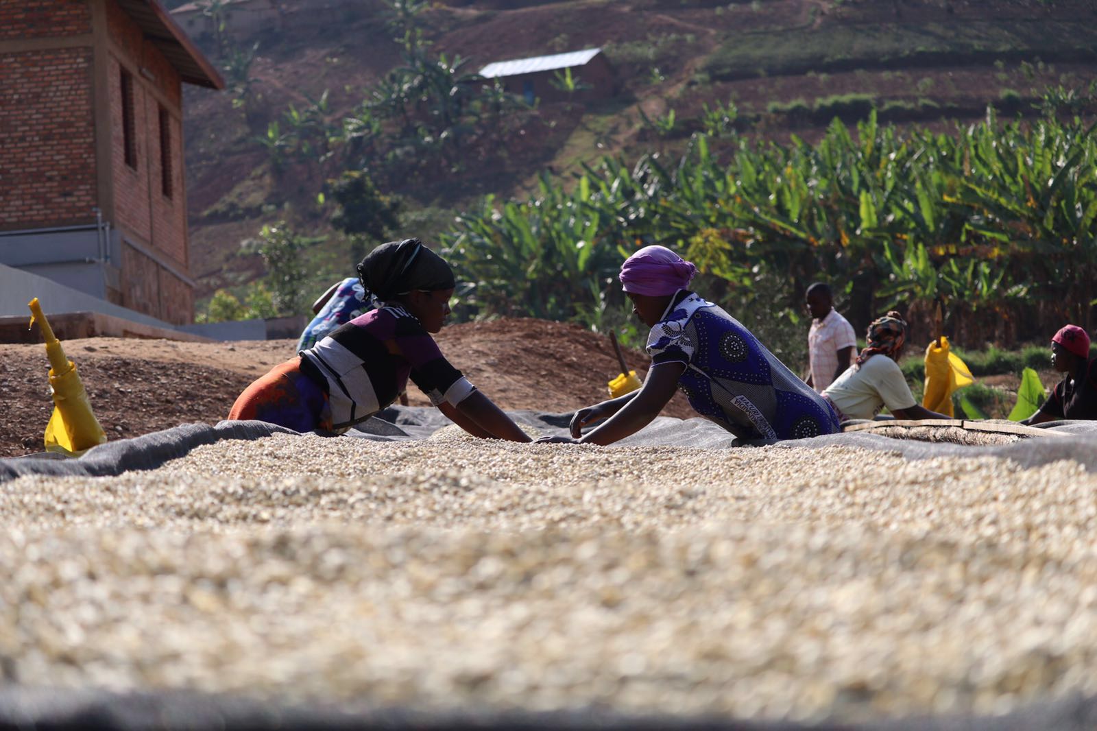 RWANDA KININI WOMEN 250G