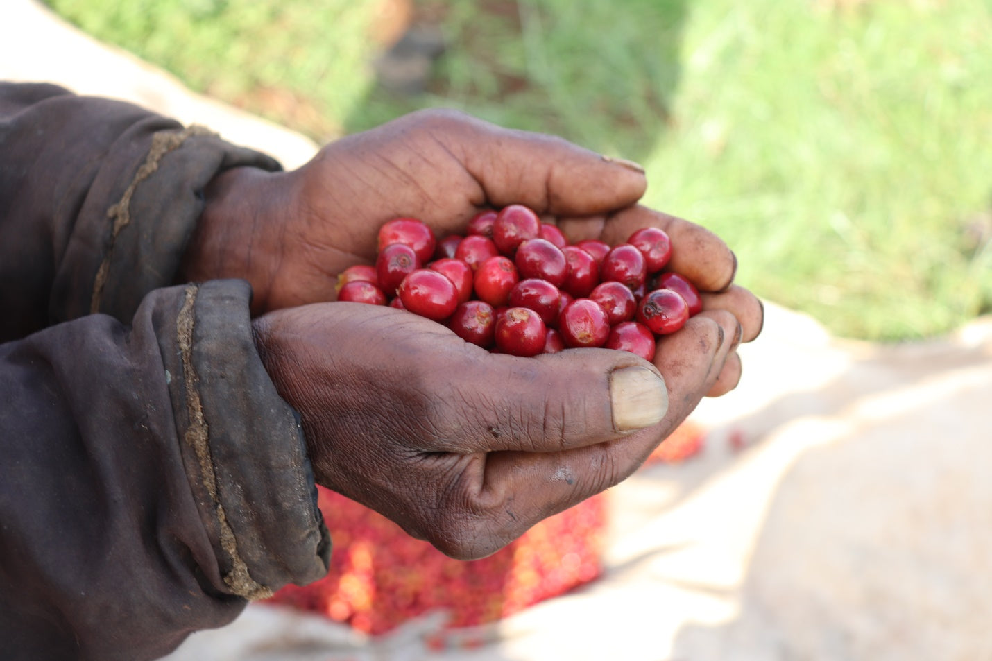 KENYA KAGUMO NATURAL 250G