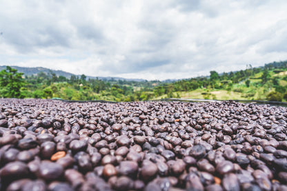 ETHIOPIA RUMUDAMO ANAEROBIC WASHED 1KG