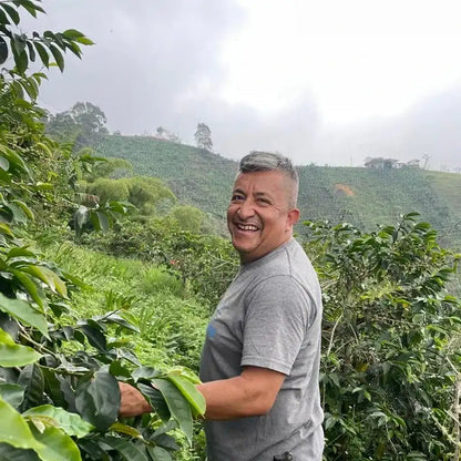 COLOMBIA GEISHA DUCUARA 250G