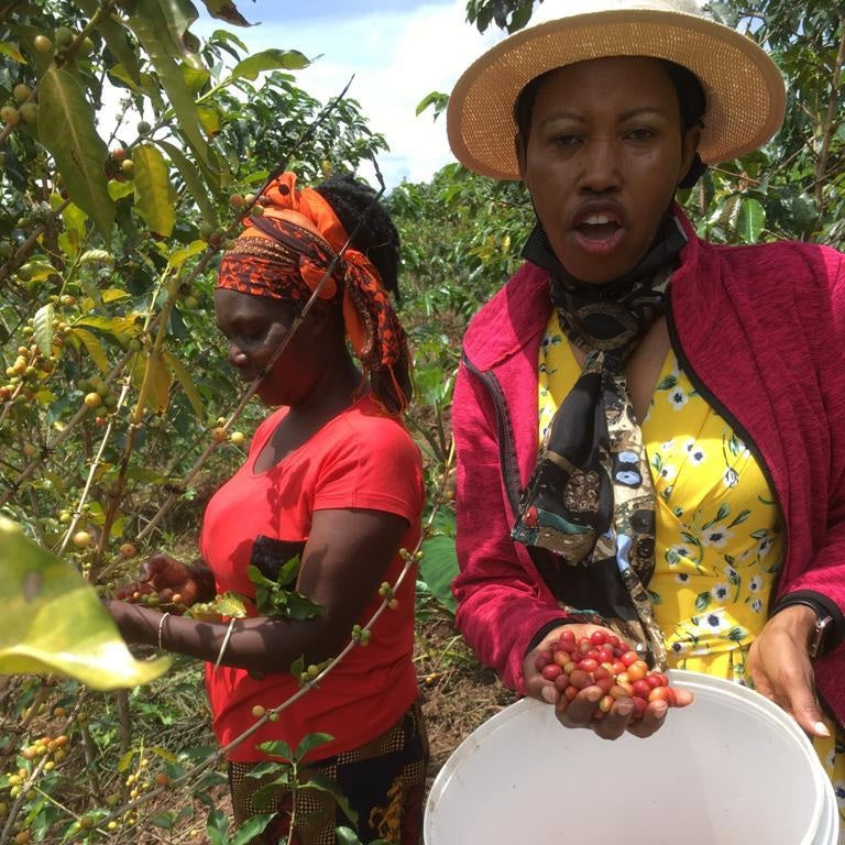 RWANDA KININI WOMEN 250G