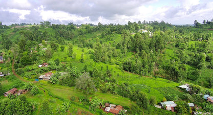 KENYA MUGAYA PB 250G