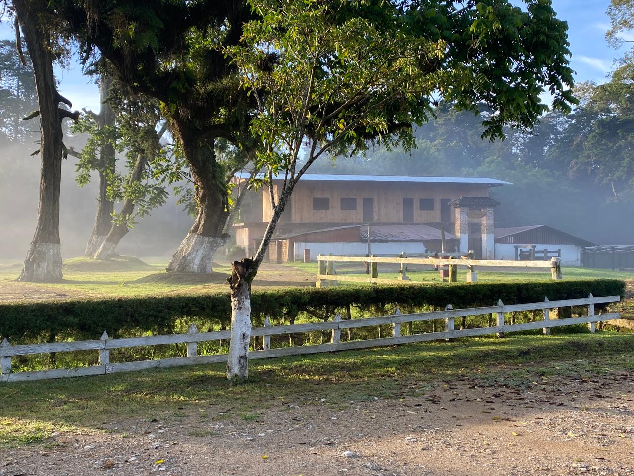 GUATEMALA SL28 GABRIEL OCANA 1KG