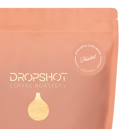 ETIOPIA CHELBESA WASHED 250G