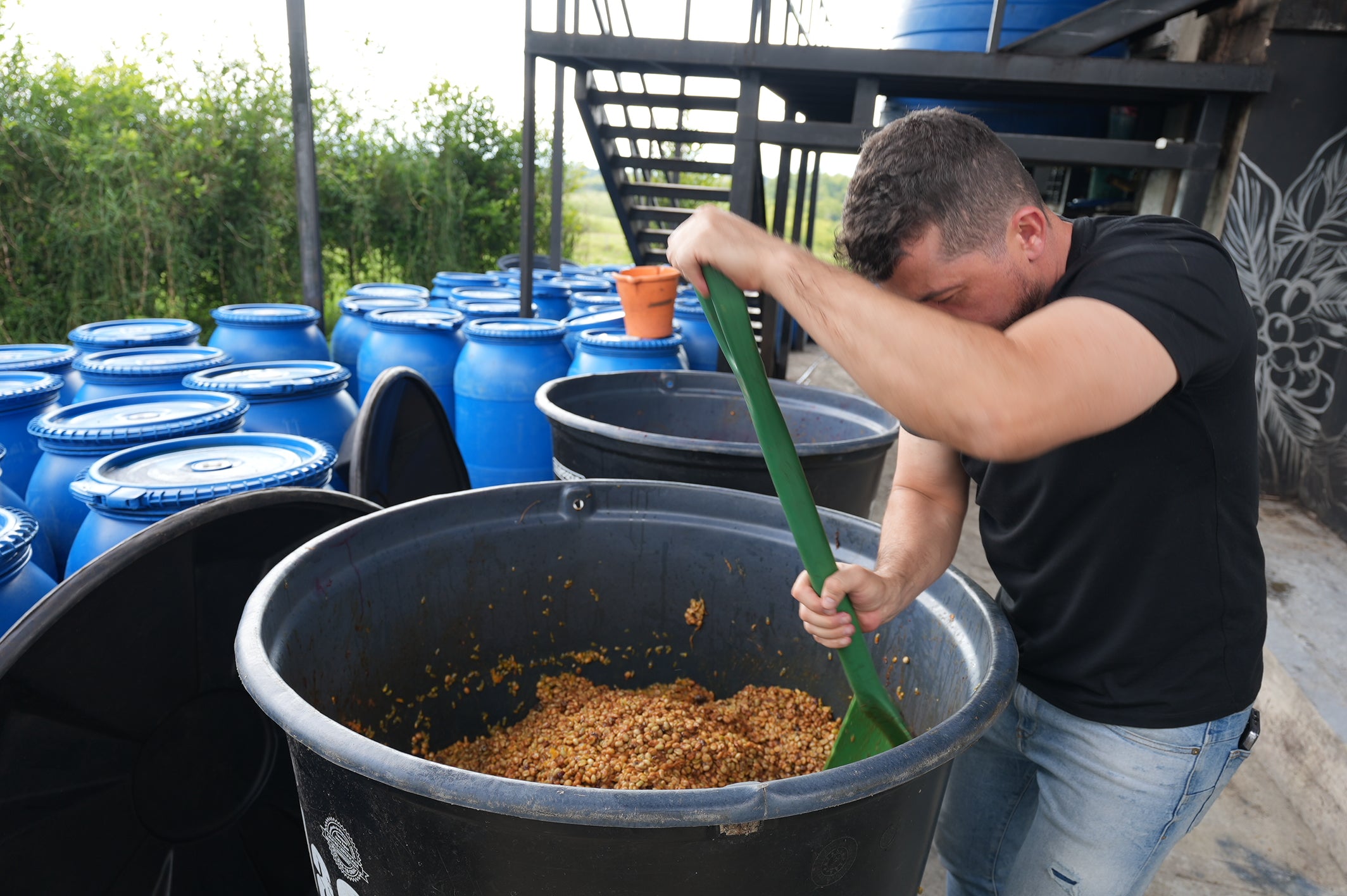 COLUMBIA CANDY LAND EXPERIMENTAL 250G