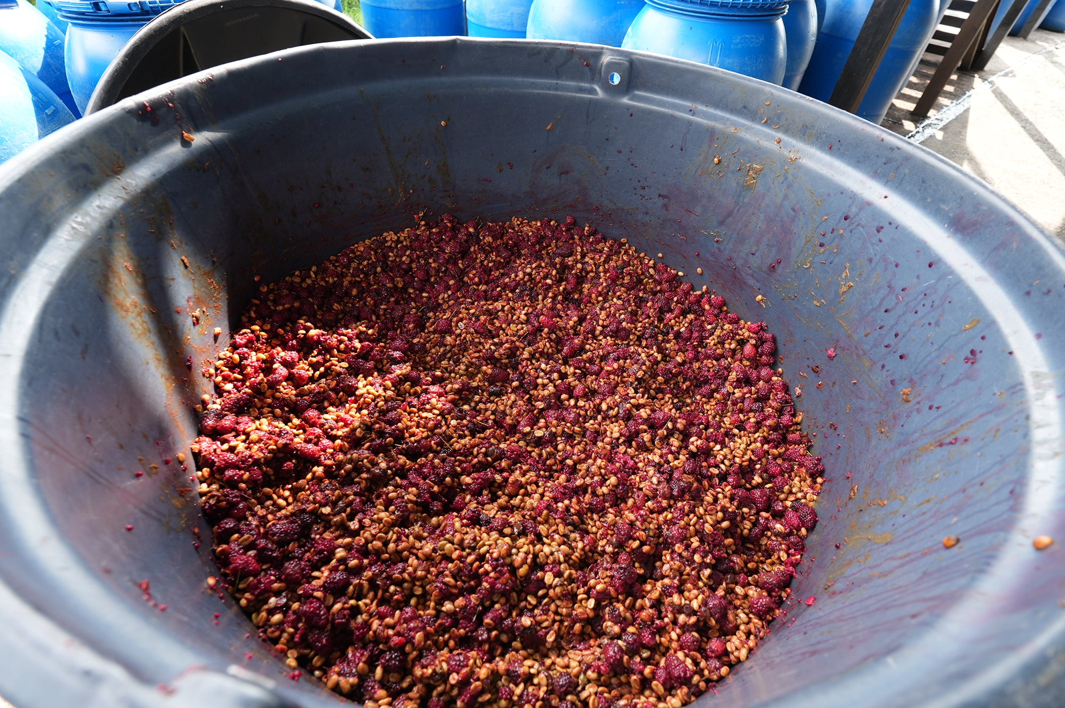 COLOMBIA CANDY LAND EXPERIMENTAL 1KG