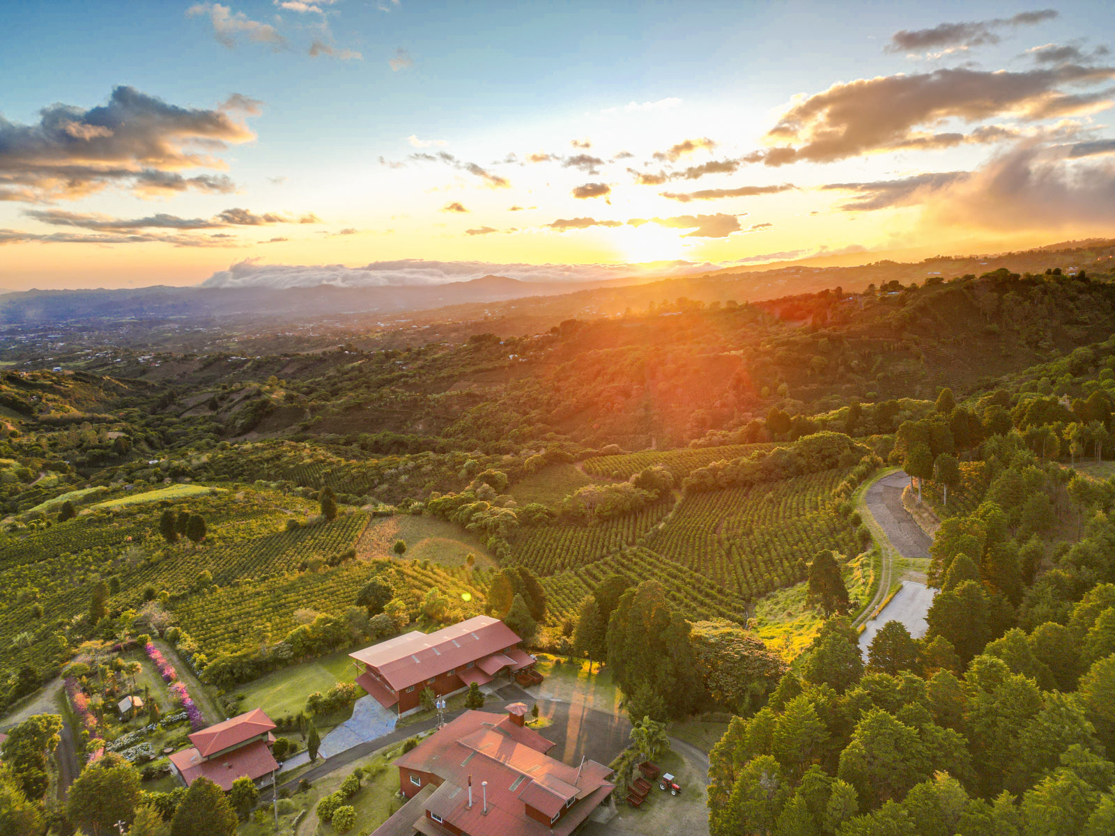 COSTA RICA GEISHA RED HONEY ALEJO CASTRO 200G