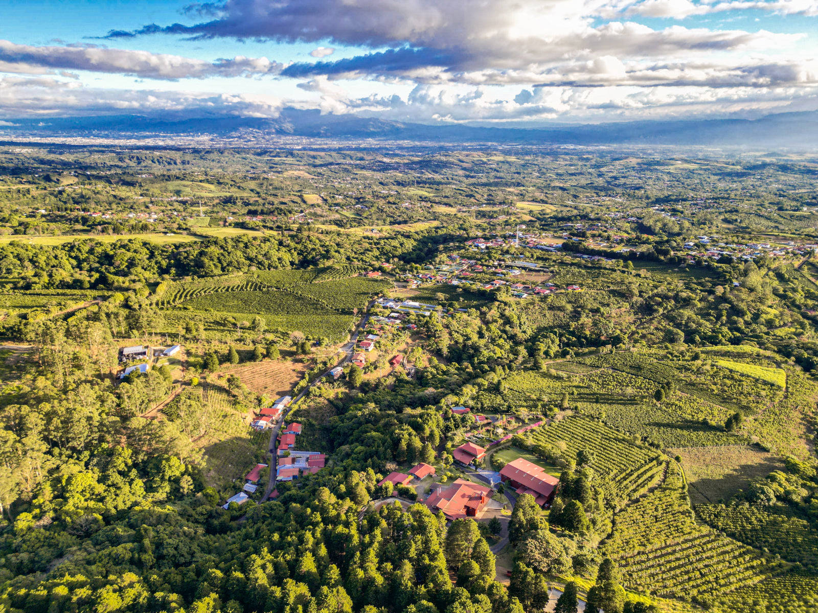 COSTA RICA GEISHA RED HONEY ALEJO CASTRO 200G