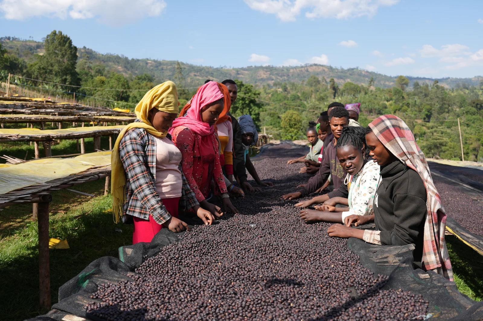 ETIOPIA RUMUDAMO WASHED 250G