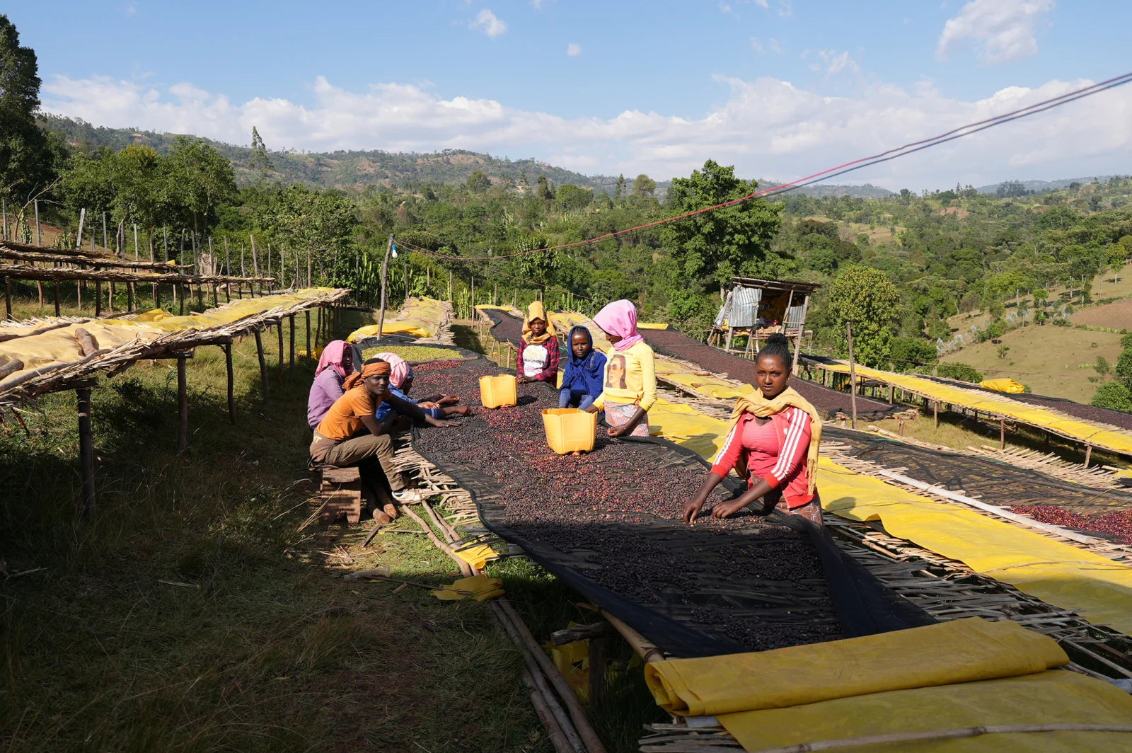 ETIOPIA RUMUDAMO WASHED 250G