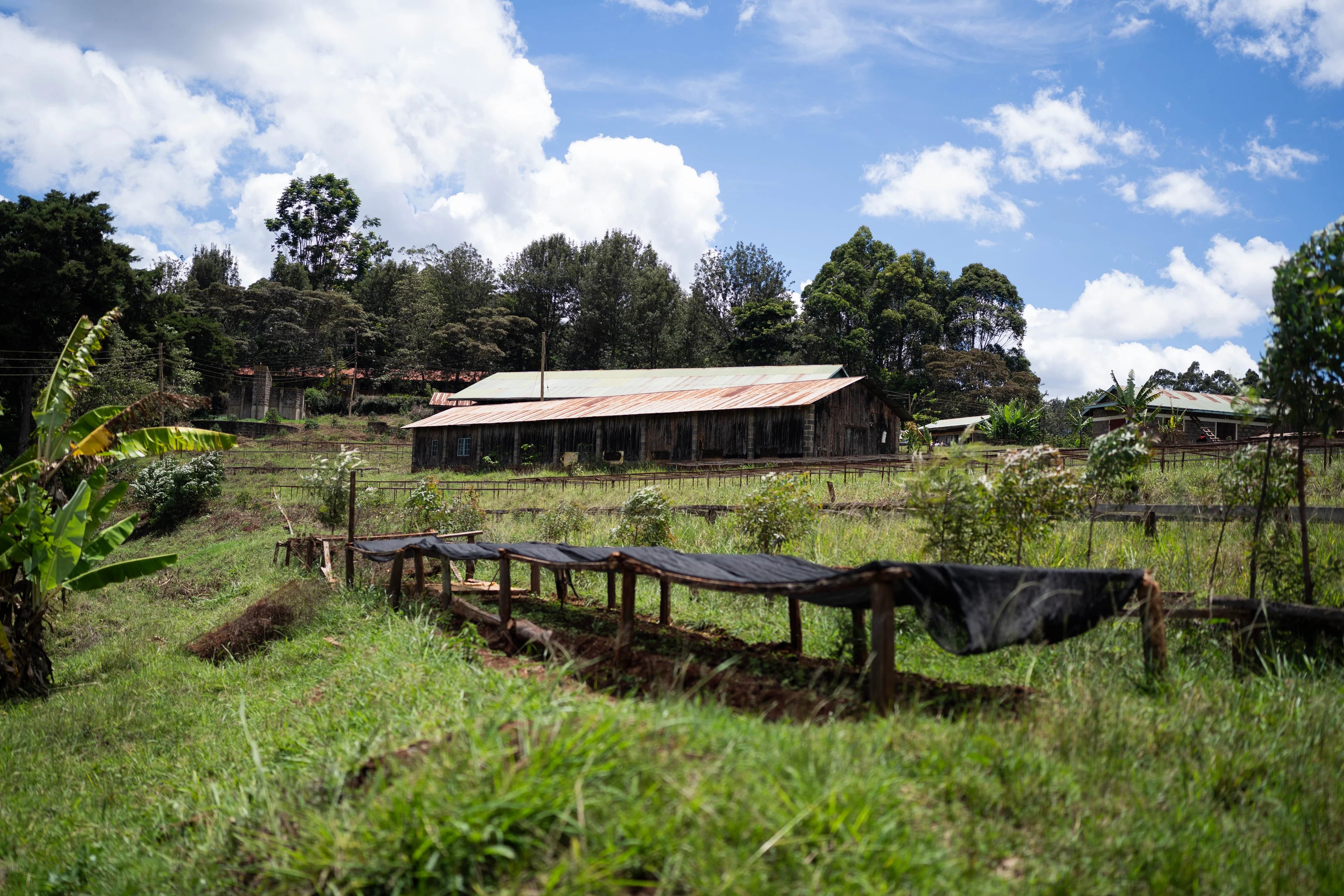 KENYA KAGUMO NATURAL 250G