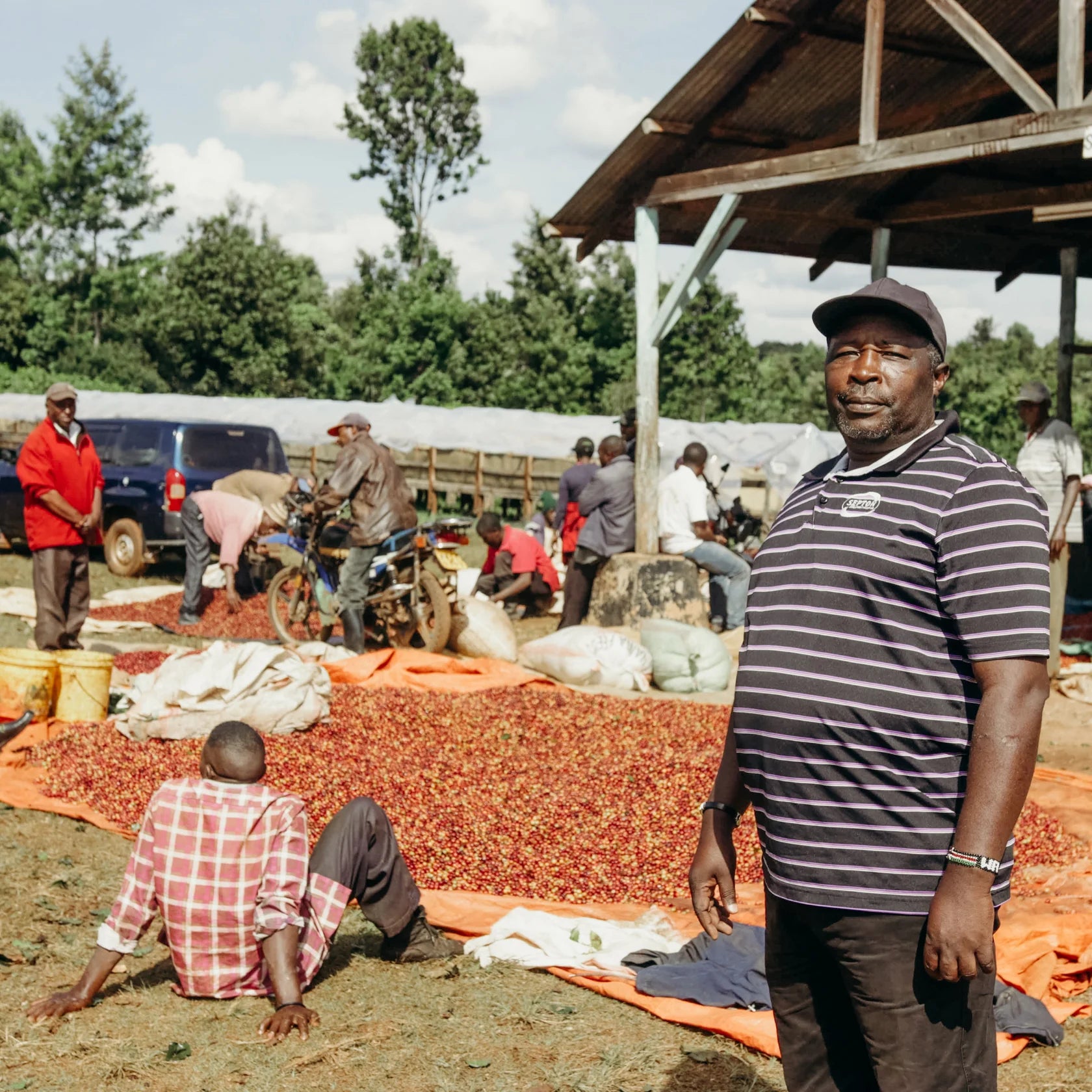 KENYA KARIMI BERGAMORA 250G