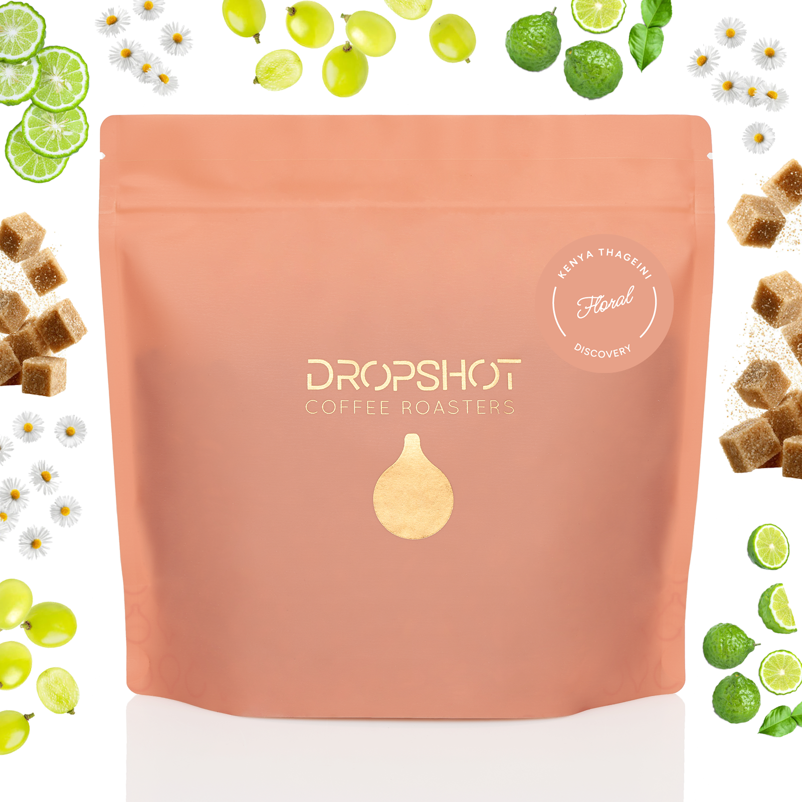 KENYA THAGEINI AB WASHED 250G