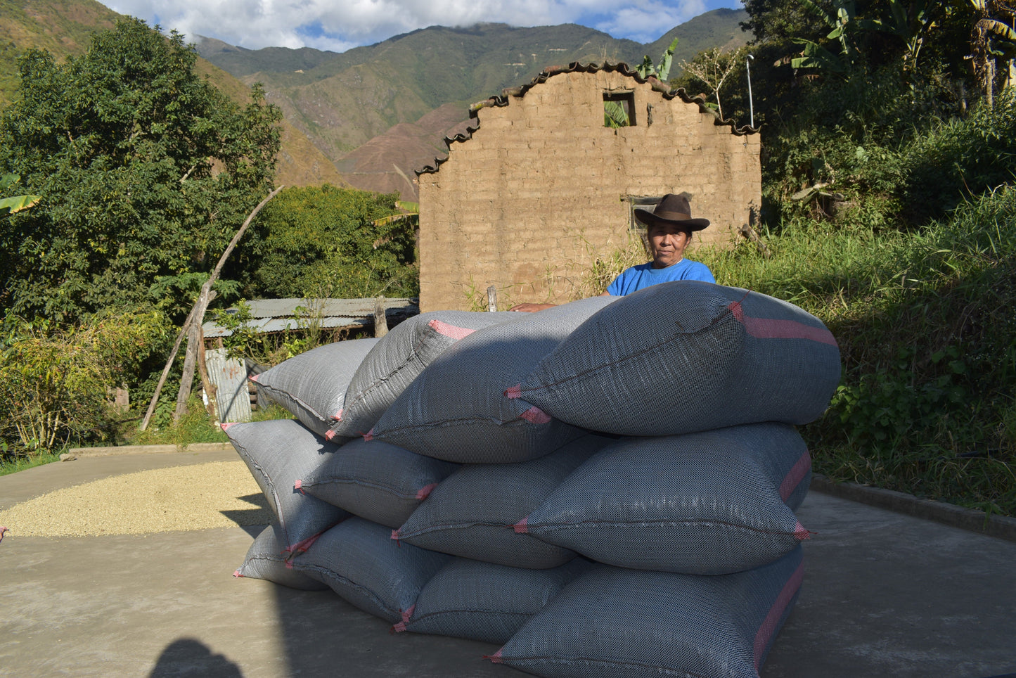 PERU PINTOC SAN FERNANDO 1KG