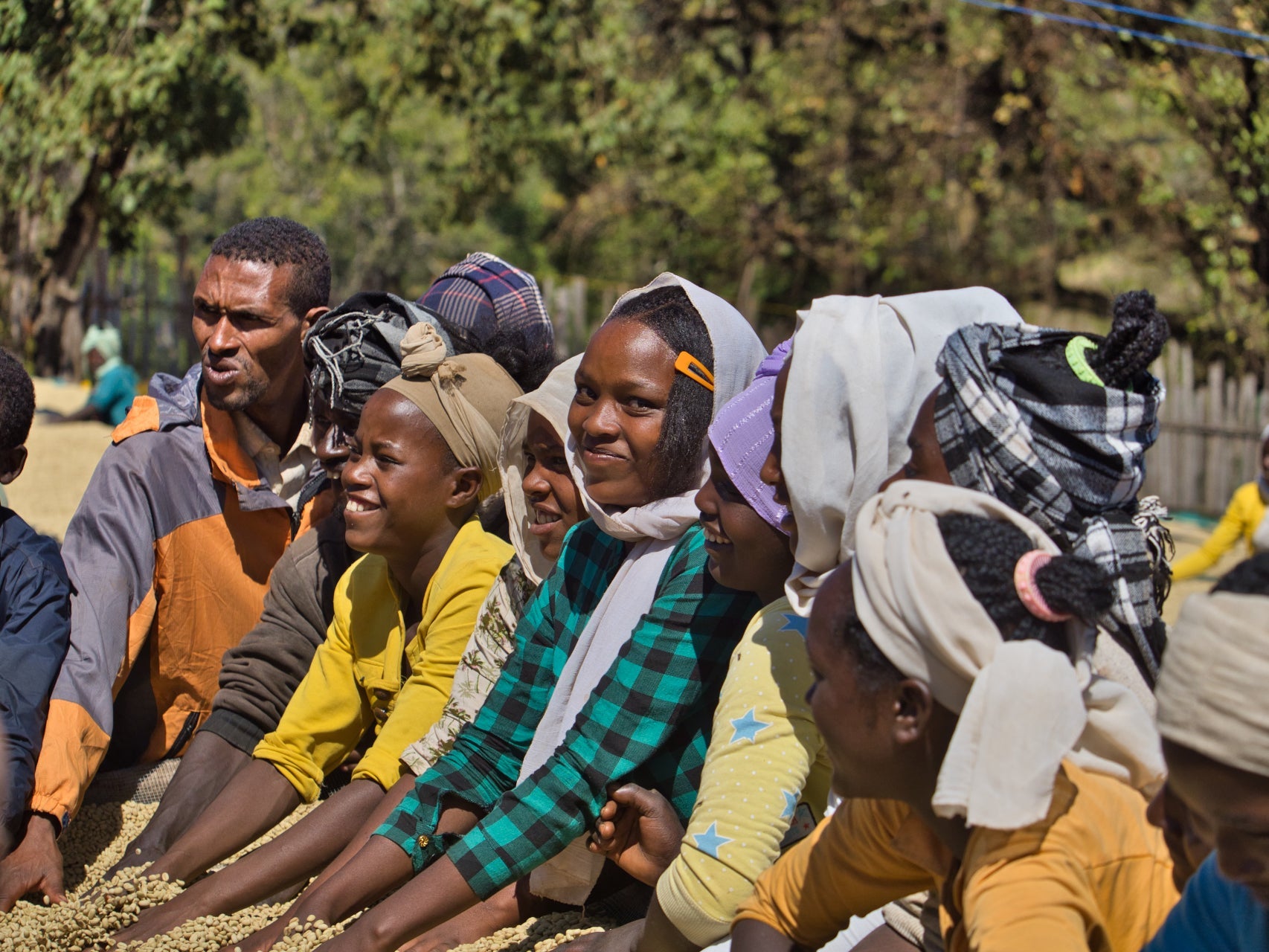 ETHIOPIA ANASORA DEGFA NATURAL 1kg - Dropshot Coffee