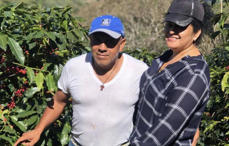 GUATEMALA LA NUEVA MONTANA 1KG