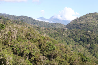 PANAMA BARU BLACK MOUNTAIN 1KG