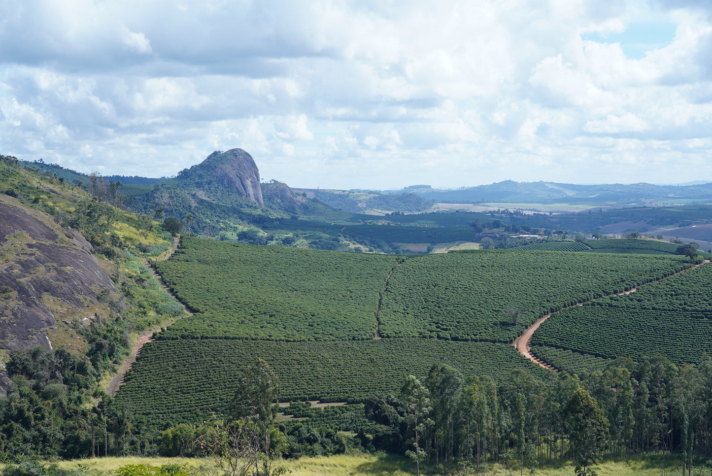 BRAZILIA HERMANOS DA PEDRA GRANDE 1KG